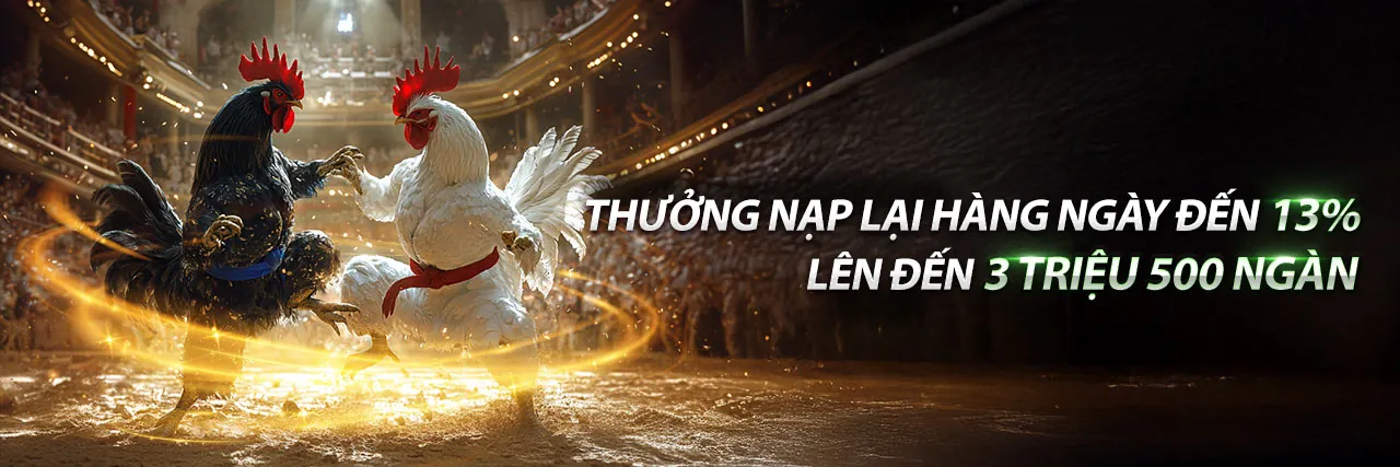 Hình ảnh chính về đá gà trực tuyến tại 188bet 250 trang chủ